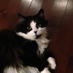 Meet your Posher, Julia